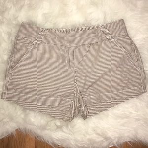 J.Crew Shorts